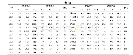 表1 江西省地方辣椒资源苗期的疫霉病菌抗性