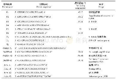 表1 实验引物Tab.1 List of primer information used in study