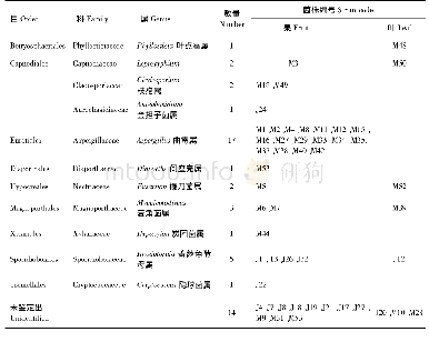 《表1 诺丽内生真菌的鉴定结果Tab.1 Identifications of Noni endophytic fungi》