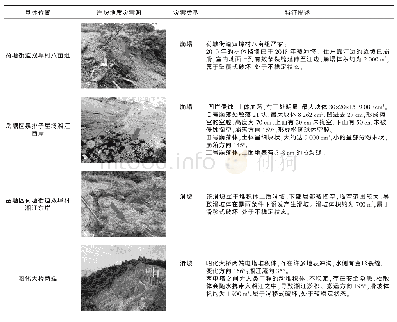 《表2 湘江湾区/资江-大新集区非常典型地质灾害》