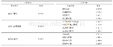 表2 西南地区国家5A级旅游景区微博营销评价体系指标权重