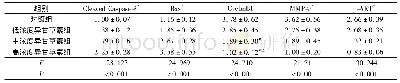 《表4 4组细胞中PI3K/AKT信号通路相关分子mRNA的相对表达量 (n=3)》