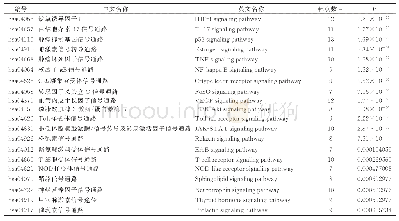 《表2 靶点通路富集结果（前20个）》