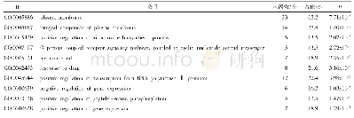 表3 巴戟天-苍术药对活性成分抗抑郁关键靶点的GO生物学过程富集分析