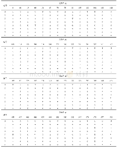 表4 8种天南星科样本变异位点分析