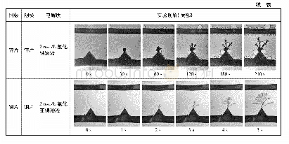 《表1 不同种类的金属树实验现象》