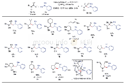 《表2 硝酮与N,N-二甲基苯胺2a的交叉偶联反应》