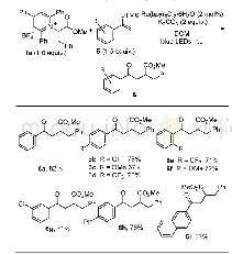 《表4 苯丙氨基酸甲酯Katritzky盐和芳基烯醇硅醚的反应a,b》
