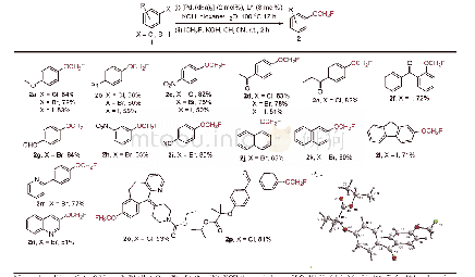 《表2 芳基卤化物的单氟甲氧基化a》