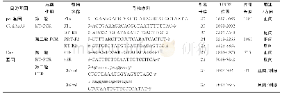 表1 龙岩市HIV-1pol区和env区基因片段扩增使用引物