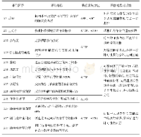 表6 学习评价指标（教师主体）