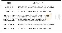 表1 实验中涉及的PCR和QPCR引物Tab.1 The primers of the CsIKK gene to PCR and QPCR