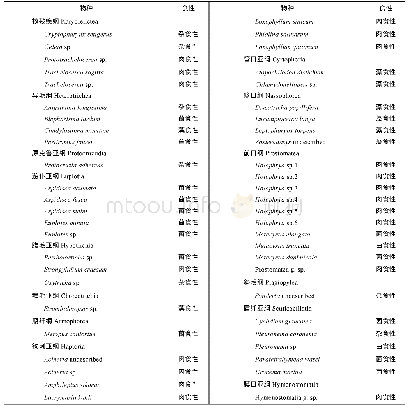 表2 长江口邻近海域九个站位底栖纤毛虫优势物种名录