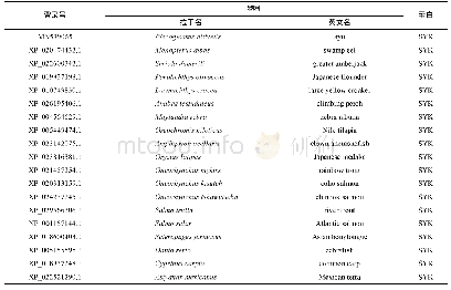 表2 研究中所用到的SYK蛋白序列信息