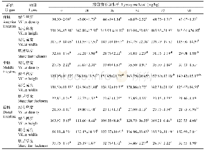 《表4 饲用溶菌酶对吉富罗非鱼肠道形态学指标的影响(μm)》
