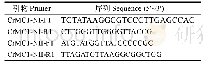 表1 莱茵衣藻metacaspase type I ORF克隆引物