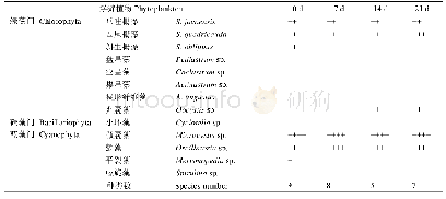 表2 金鱼藻培养条件下浮游藻类组成及种类数变化