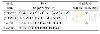 《表1 实时定量PCR引物》