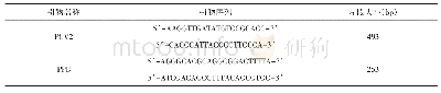 《表1 PCR引物序列：信阳某规模化猪场混合感染流行病学调查》