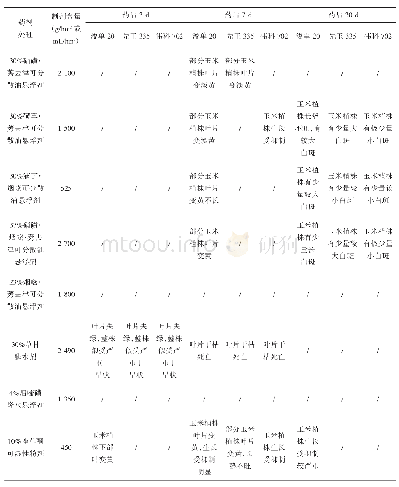 表3 8种除草剂对不同夏玉米品种的影响