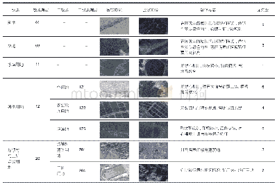 《表1 遥感影像解译土地利用类型》