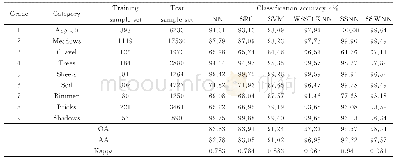 表2 PaviaU数据集中各类地物在不同算法下的分类精度