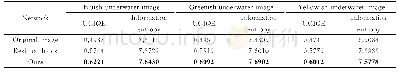 表5 不同网络的UCIQE、信息熵的对比结果