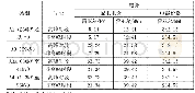 表1 巴西某配电公司A组用户的电价情况示例