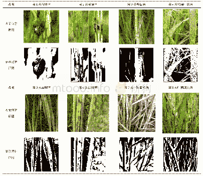《表3 水稻病害图像原图及第一层卷积层提取的特征图》