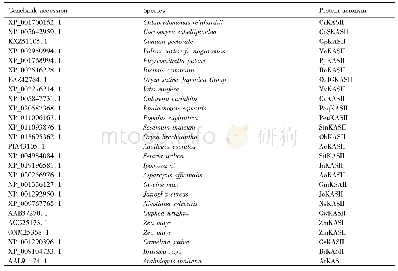 《表2 不同物种KASII蛋白信息》