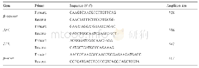 表1 RKO细胞RT-PCR引物序列