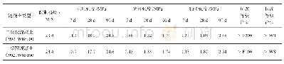 表3 碾压混凝土力学性能及耐久性试验结果表