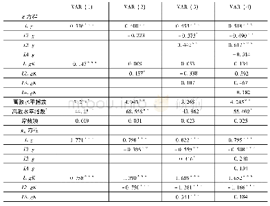 《表4 变量模型(VAR)估计结果》