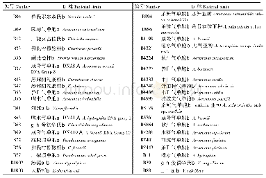 表1 试验所用菌株名称及编号