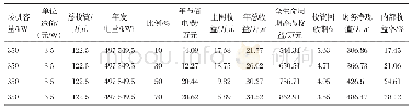 《表6“余额上网”无补贴投资效益表》