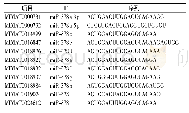 《表1 miR-378家族分子成熟体序列 (miRbase数据)》
