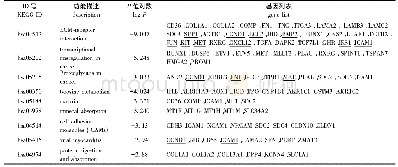 表2 差异表达基因的KEGG信号通路