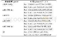 表1 引物信息：微小RNAs对肺癌细胞系侵袭、迁移及凋亡的影响