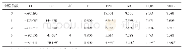 表3 VAR模型的不同滞后期数选择