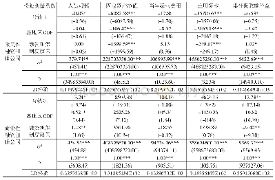 表3 第二阶段SFA回归分析结果