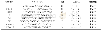 《表2 本研究所用的引物信息Tab.2 Primers used in this study》