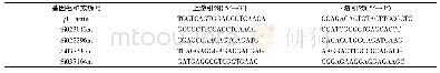 《表1 实时荧光定量RT-PCR所用引物》