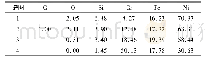 表3 镍基碳化铬堆焊层热疲劳裂纹末端元素含量