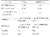 表4 2种工法结果对比：软弱地层的大断面双连拱隧道设计与施工方案优化研究