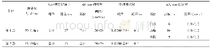 《表1 云屯堡隧道大变形段双层初期支护参数》