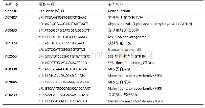 表1 设计的荧光定量PCR引物及其序列