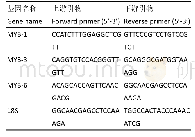 《表1 荧光定量PCR引物序列》