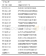 表1 定量验证CA基因的RT-qPCR引物