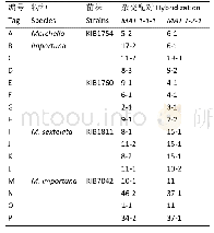 表3 含不同交配型基因菌丝体的配对信息