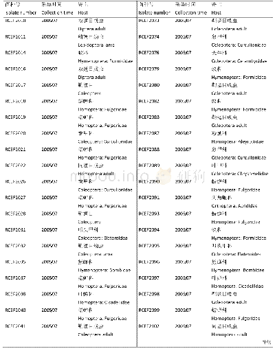 表1 琅琊山球孢白僵菌菌株寄主类型和采集时间